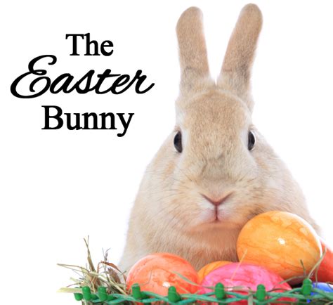 The adults will take the aforementioned easter eggs, stuff them with candy (or. Easter Bunny | Celebrating Holidays