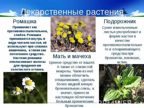 Диета при спазмах кишечника