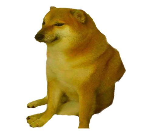 Doge Meme Template Cheems Png 19 Doge Head Png Woolseygirls Meme