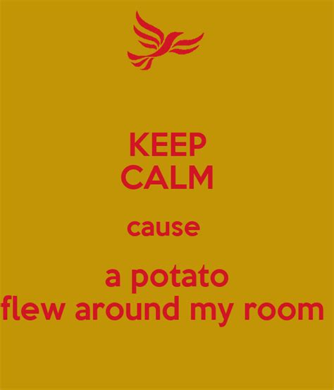 A potato flying around your room. KEEP CALM cause a potato flew around my room Poster | lol ...