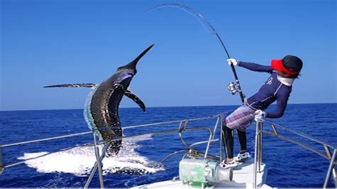 Most Satisfying Fishing Videos Giant Swordfish Amazing Swordfish