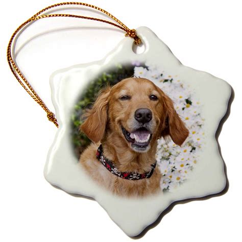 3drose Portrait Of A Happy Golden Retriever Dog Na02 Zmu0158