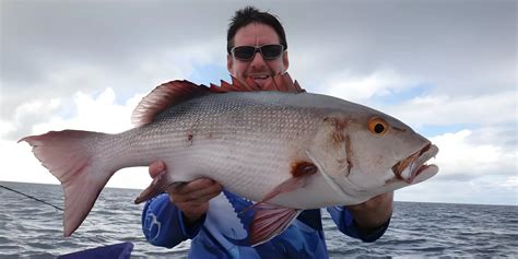 How To Avoid Ciguatera Poisoning Ryan Moody Fishing