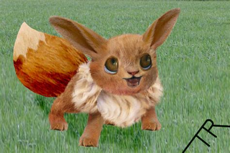 Real Eevee By Tr The Only One On Deviantart