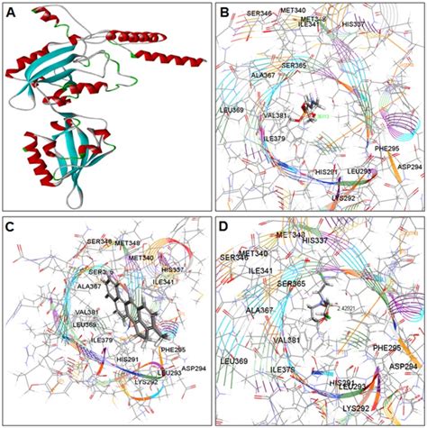 A Structure Of Homology Modeling Of Aryl Hydrocarbon Receptor AHR