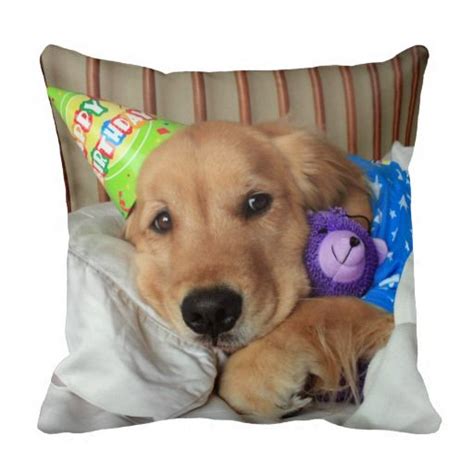 Golden Retriever With Teddy Bear Birthday Throw Pillow
