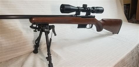 Cz 527 American For Sale