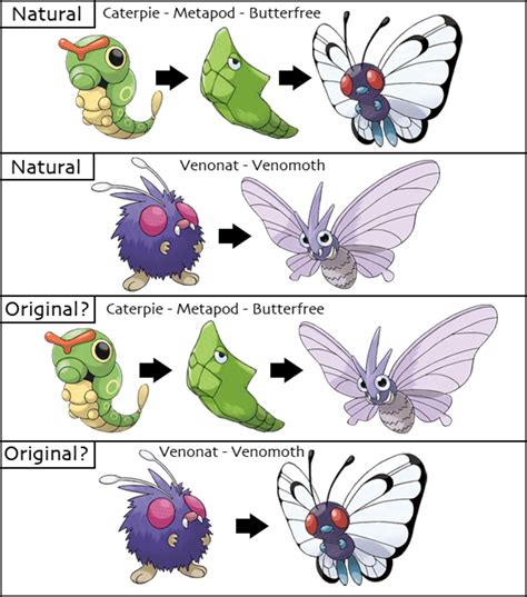 Teorías De La Evolución De Los Pokémon