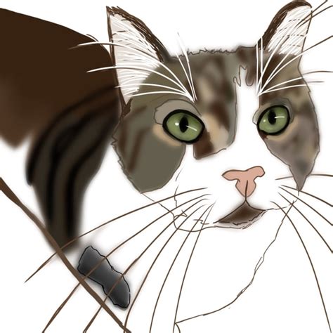 Digitally Draw Your Pet By Mayahartsart Fiverr