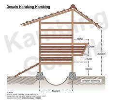 Karena hal ini sangat sering terjadi dan dialami oleh mereka yang akan memulai usaha ternak kambing domba. Cara Membuat Kandang Kambing Yang Bagus | Kandang, Kambing ...