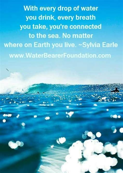 Pin By Jill Prager On Just Beachy 2 Ocean Quotes Beach Quotes