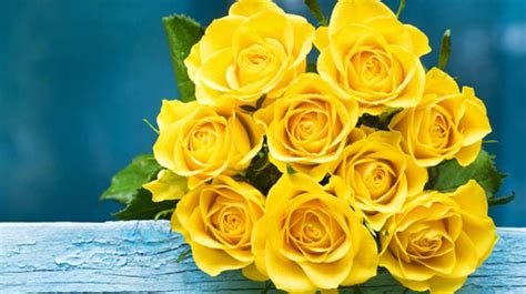 Unduh 83 Gambar Bunga Mawar Warna Kuning Hd Info Gambar