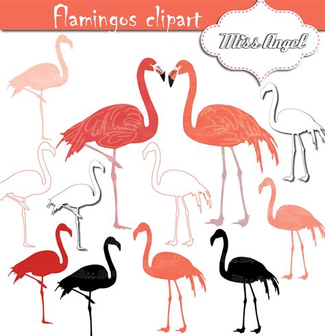 Flamingo Silhouette Clip Art At Getdrawings Free Download