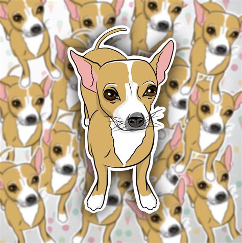 Chihuahua Sticker Pegatinas Para Perros Arte Chihuahua Etsy