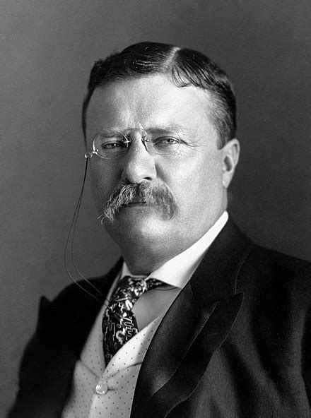 Theodore Roosevelt Wikipedia