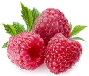 Cats have not changed much since they were domesticated, especially regarding their nutritional needs. Don't Let Your Dog Eat Too Many Raspberries — Find Out Why!