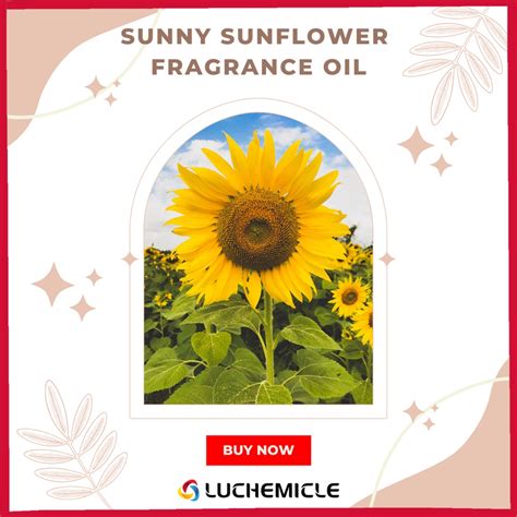 Sunny Sunflower Fragrance Oil 100 Ml Shopee Malaysia