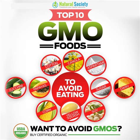 Top 10 Worst Gmo Foods Well Consulting