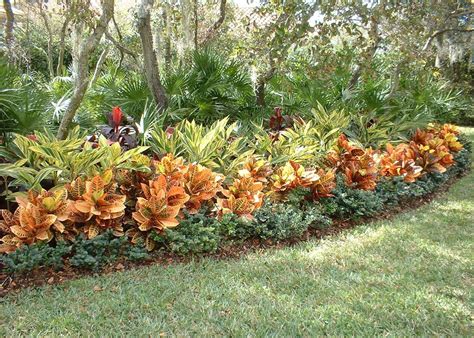 Croton Landscaping With Rocks Tropical Landscaping Garden Landscape