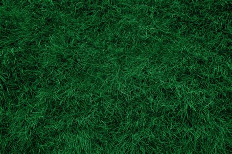 Tổng Hợp 999 Background Green Grass Chất Lượng Cao Tải Miễn Phí