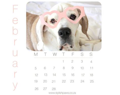 Hello February | February calendar, February, Paw