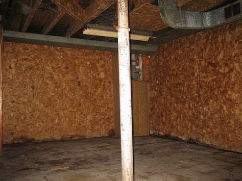20 Awesome Musty Basement Smell Causes Basement Tips