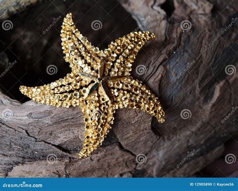 Gold Starfish Stock Photo Image Of Mother Woman White 12905890