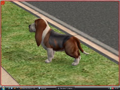 Mod The Sims Basset Hound Breed Fatty Tinny And Eared