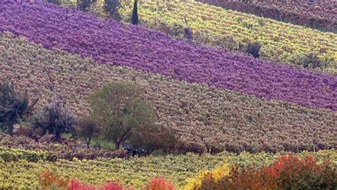 Windchill Alter Auch Der Herbst Hat Schöne Tage N Tvde