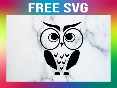 Free Owl Svg