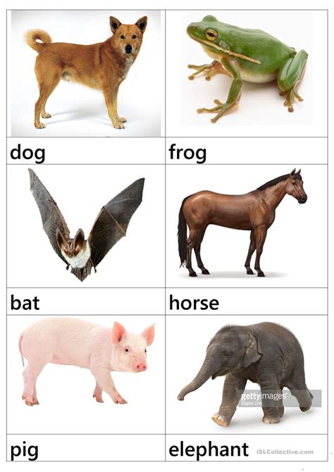 Animals Flashcards English Esl Worksheets For Distance Learning And
