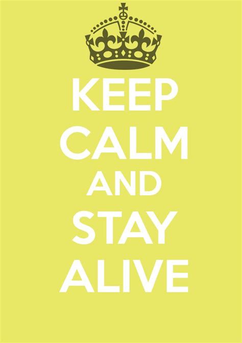 Buy Keep Calm And Stay Alive Poster Buy Keep Calm Posters