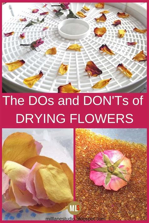 Liquid malt, specialty grains in a grain bag, and hops this recipe is very popular here at adventures in homebrewing. Drying and Preserving Flowers for Resin | Pressed flower ...