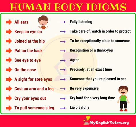 Interesting Idioms With Body Parts English Idioms English Lessons