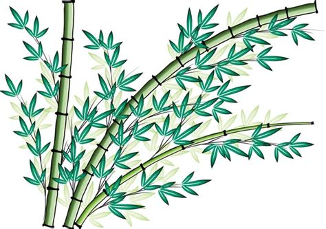 Populer Rosaeux Bambou Japon Dessin Paling Trend