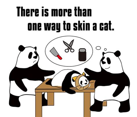 More Than One Way To Skin A Catの意味と使い方 Eigo Labえいご研）