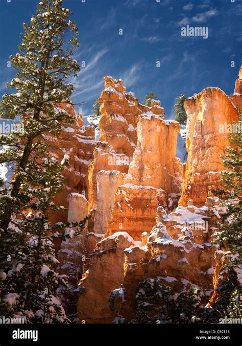 Snow In Bryce Canyon National Park Utah Stock Photo Alamy