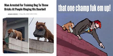 Postal Dude Arrested For Training Dog To Throw Bricks Postal Know