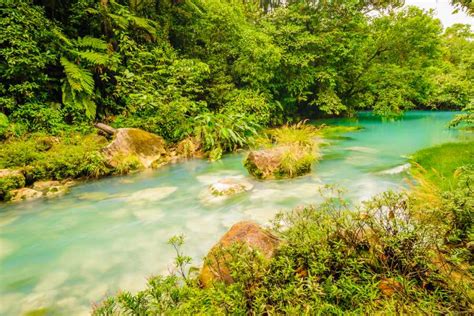 Rio Celeste Blue Waterfall Trip Welcome To The Congo Canopy