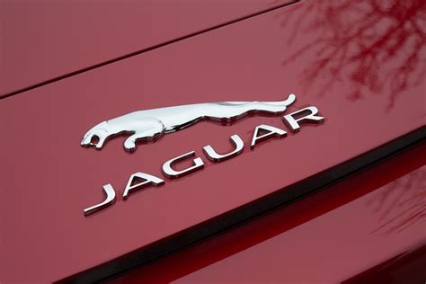 Der Jaguar F Type Cabrio Ein Auto Mit Stil Autochecker De