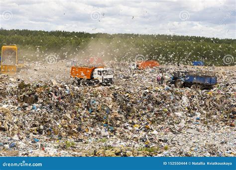 Municipal Landfill For Domestic Waste Trucks Unload Garbage At The