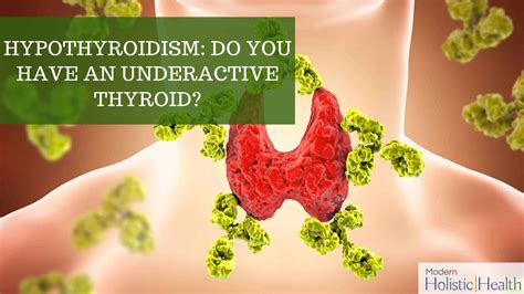 Under Active Thyroid Treatment In Austin Modern Holistic Health