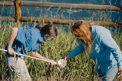 We offer mosquito abatement services to help home owners in weber and davis counties enjoy a little relief from the pesky mosquitoes. Mosquito Larvae Hunt with Ada County Commissioner Diana ...