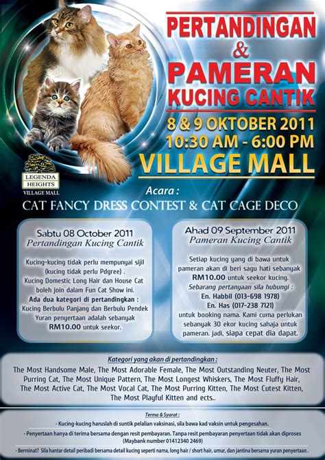 Blog kelab kembar malaysia bertujuan memberi info tentang aktiviti kelab dll perkara yg berkaitan. Pertandingan dan Pameran Kucing Cantik | My Dearcats DC