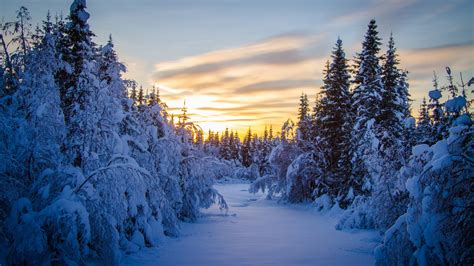 Landscape Snow Winter Forest Trees Sunrise Wallpapers Hd Desktop