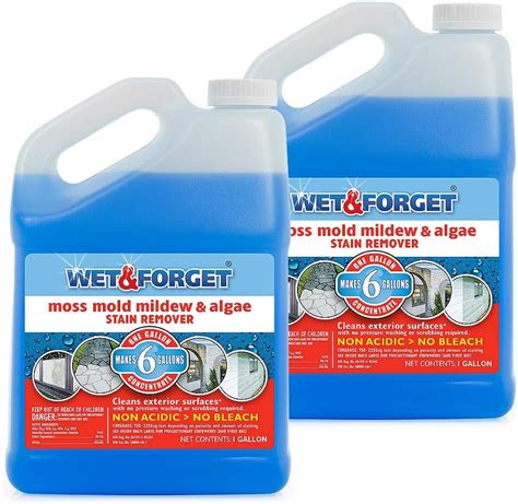 2 X Wet And Forget 10587 1 Gallon Moss Mold And Mildew Stain Remover