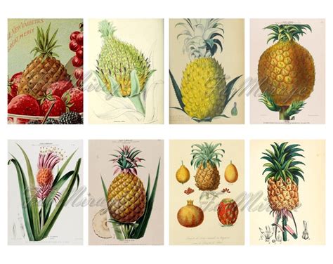 Pineapple Digital Collage Sheet 40 Atc Cards Printable Etsy