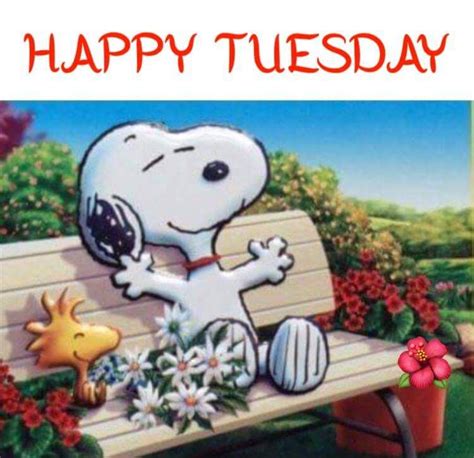 Happy Tuesday Meme Snoopy