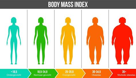 Gezond Gewicht Tabel Voor Mannen En Vrouwen My Xxx Hot Girl