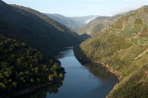 The seer flies very similar to the river but just a tick slower and shorter. Take the rocking rivers quiz! quiz | Earth lessons | DK ...
